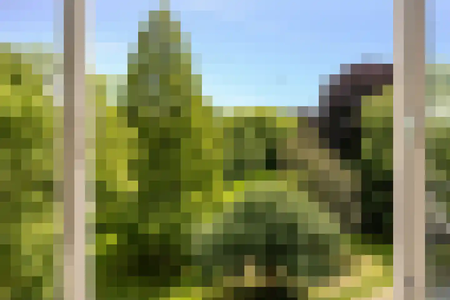 Wilhelminapark 5 C Utrecht thumbnail 9