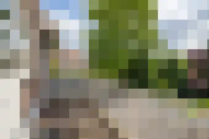 Wilhelminapark 63 Utrecht thumbnail 32