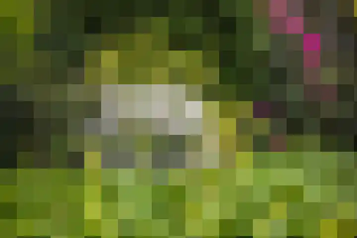 Wilhelminapark 63 Utrecht thumbnail 46