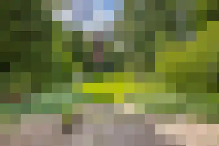 Wilhelminapark 63 Utrecht thumbnail 47