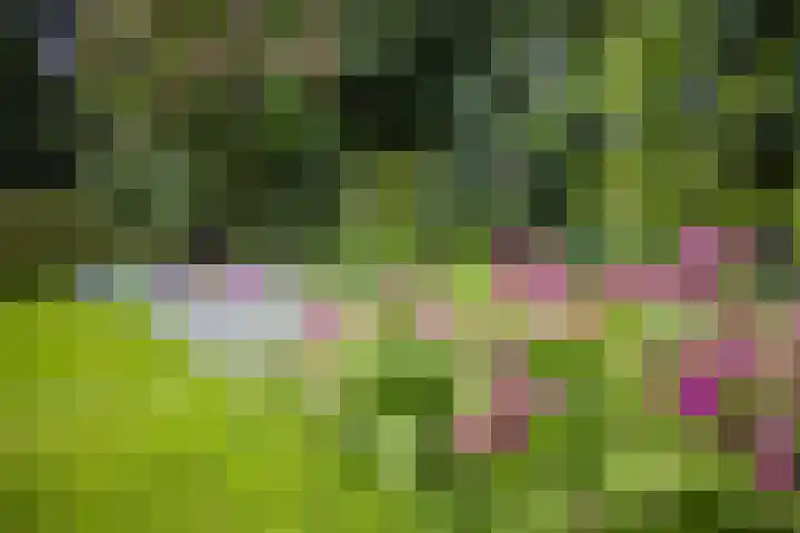 Wilhelminapark 63 Utrecht thumbnail 48