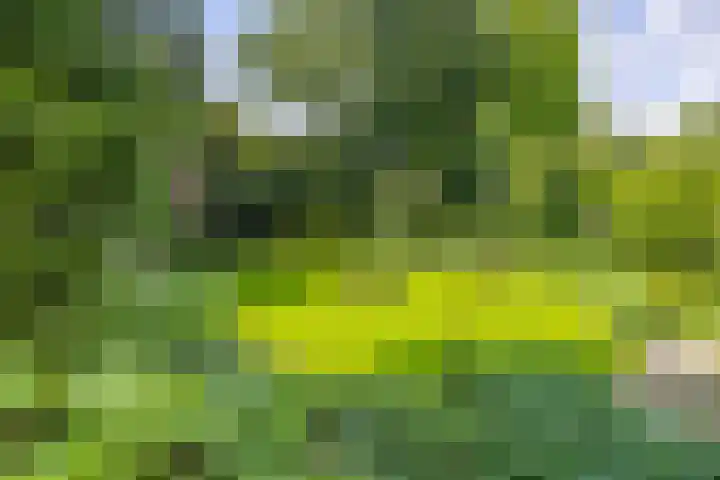Wilhelminapark 63 Utrecht thumbnail 49