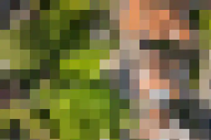 Wilhelminapark 63 Utrecht thumbnail 5