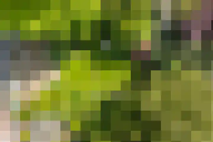 Wilhelminapark 63 Utrecht thumbnail 51