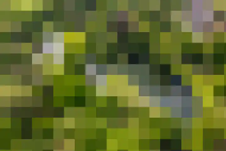 Wilhelminapark 63 Utrecht thumbnail 56