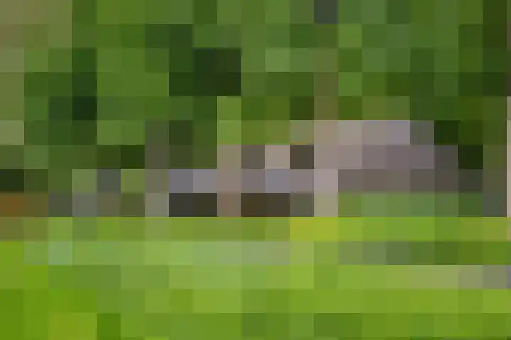 Wilhelminapark 63 Utrecht thumbnail 58