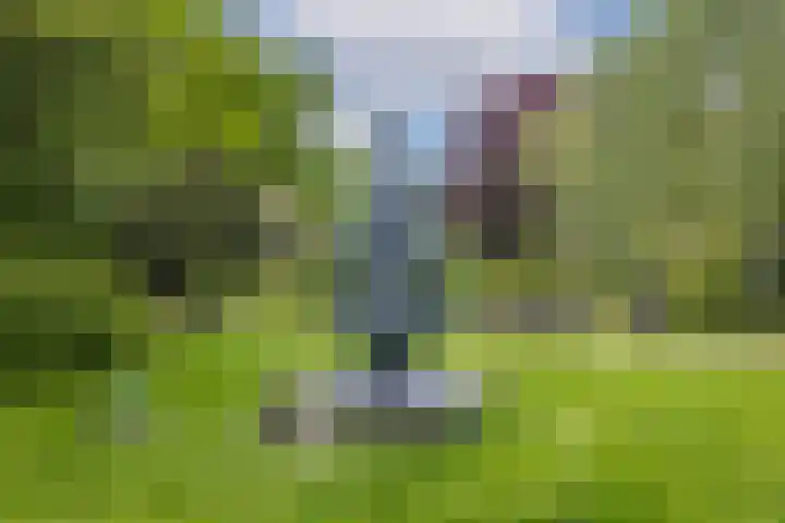 Wilhelminapark 63 Utrecht thumbnail 59