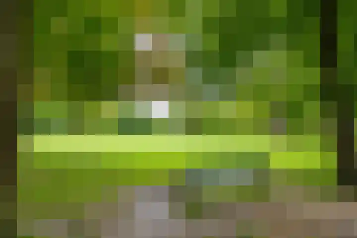 Wilhelminapark 63 Utrecht thumbnail 60
