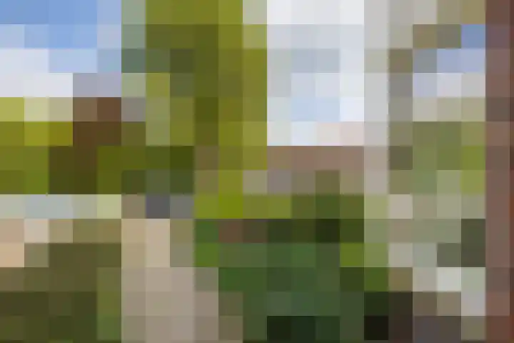 Wilhelminapark 63 Utrecht thumbnail 8