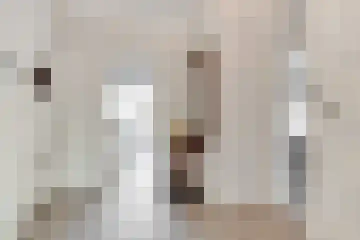 Wilhelminaparkflat 17 Zeist thumbnail 10