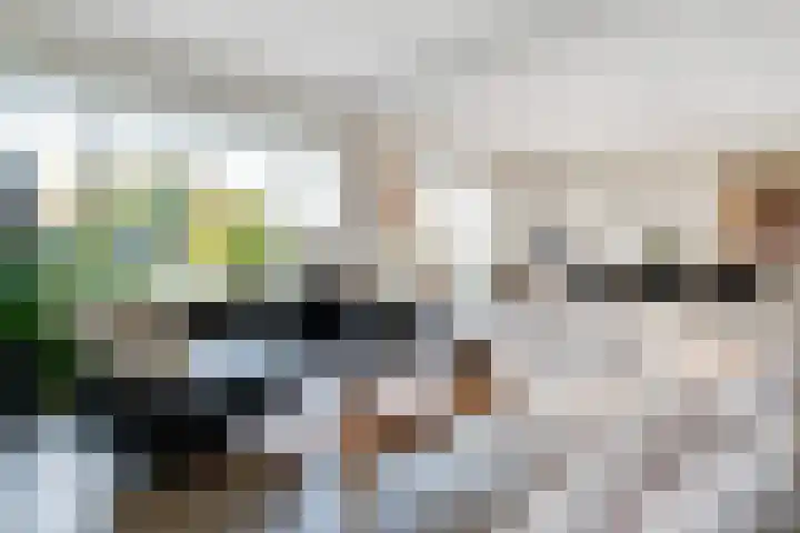 Wilhelminaparkflat 17 Zeist thumbnail 17