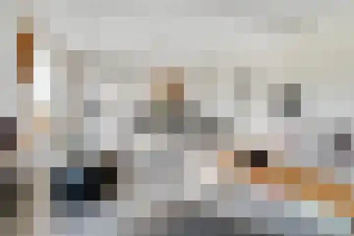 Wilhelminaparkflat 17 Zeist thumbnail 18