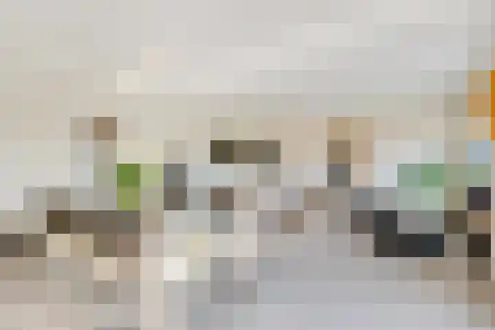 Wilhelminaparkflat 17 Zeist thumbnail 21