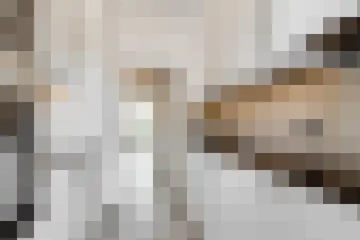 Wilhelminaparkflat 17 Zeist thumbnail 31