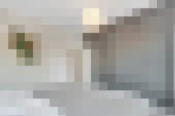 Wilhelminaparkflat 17 Zeist thumbnail 37