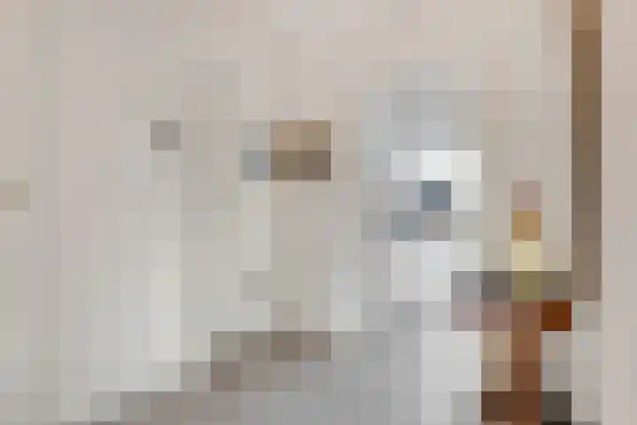 Wilhelminaparkflat 17 Zeist thumbnail 9