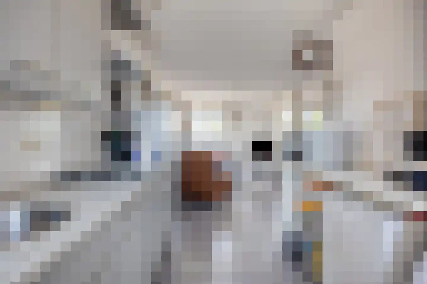 Wilhelminapassage 20 Boxmeer thumbnail 16