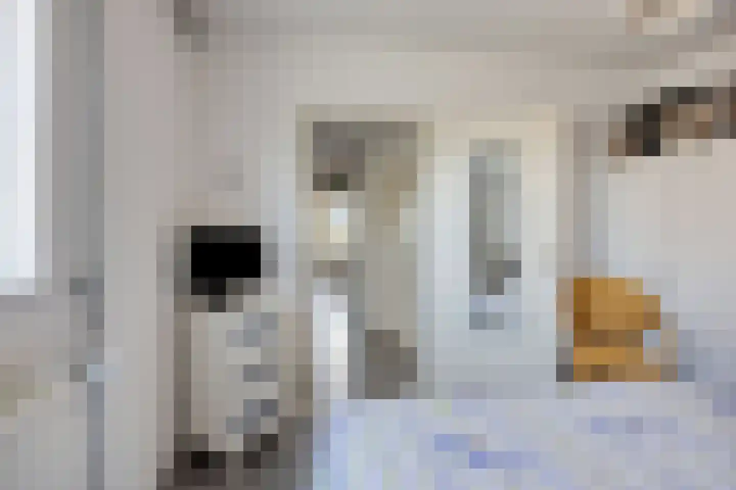 Wilhelminapassage 20 Boxmeer thumbnail 19