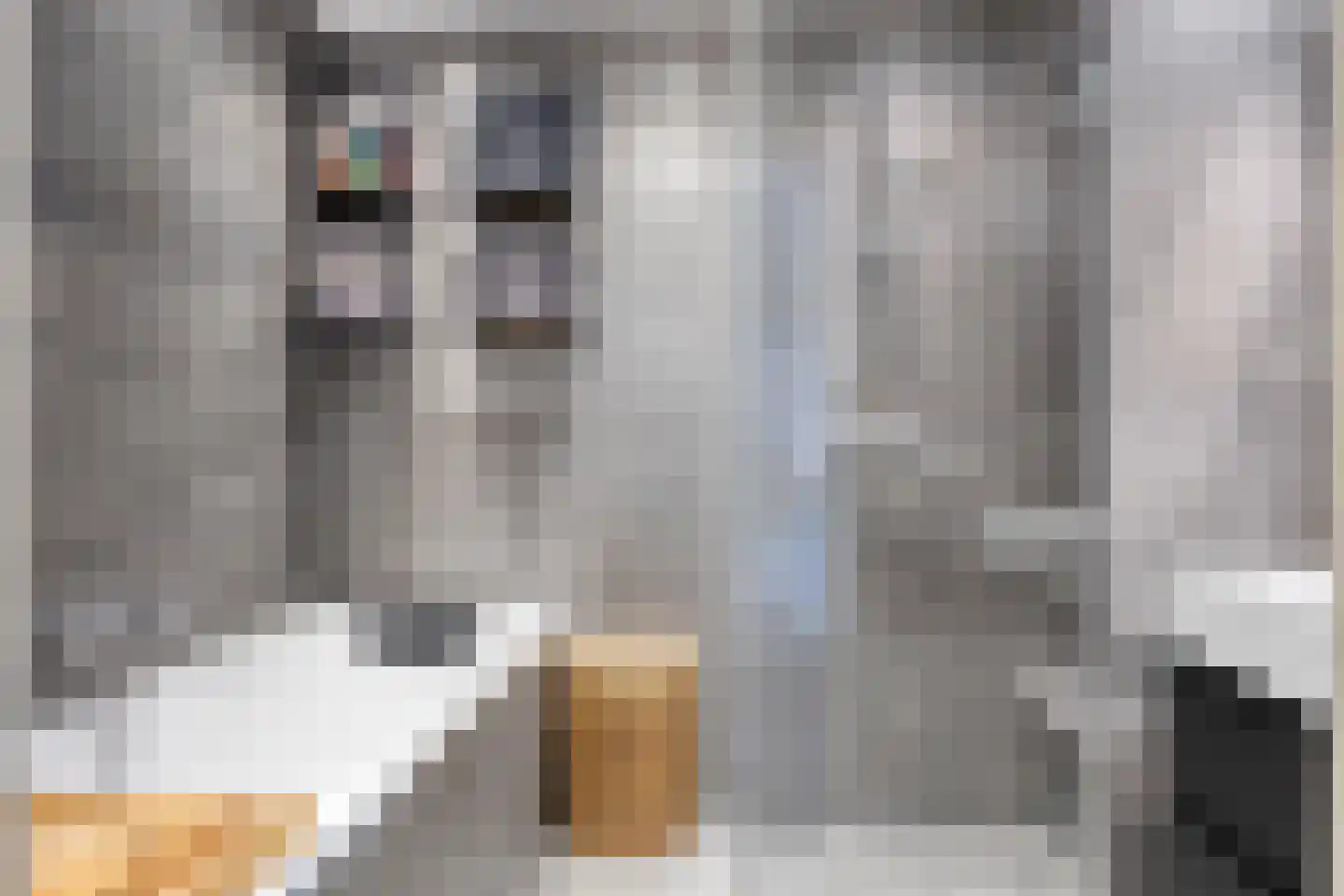 Wilhelminapassage 20 Boxmeer thumbnail 21