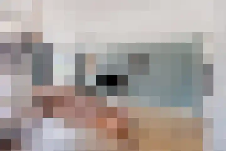 Wilhelminapassage 22 Boxmeer thumbnail 15