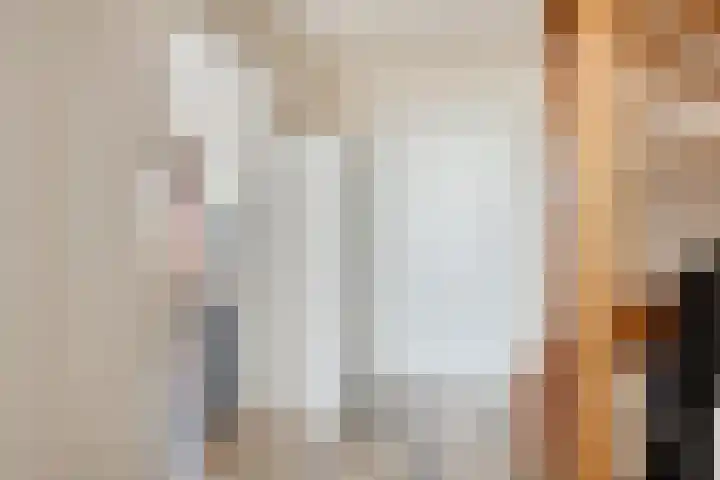 Wilhelminapassage 22 Boxmeer thumbnail 24
