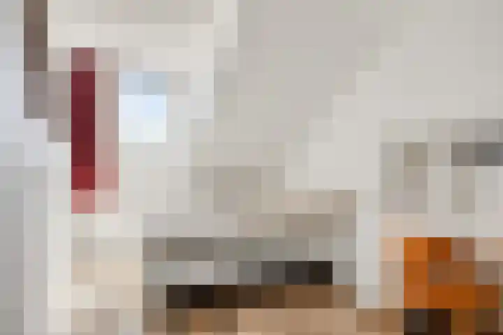 Wilhelminapassage 22 Boxmeer thumbnail 25