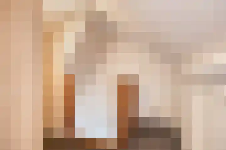 Wilhelminapassage 22 Boxmeer thumbnail 32