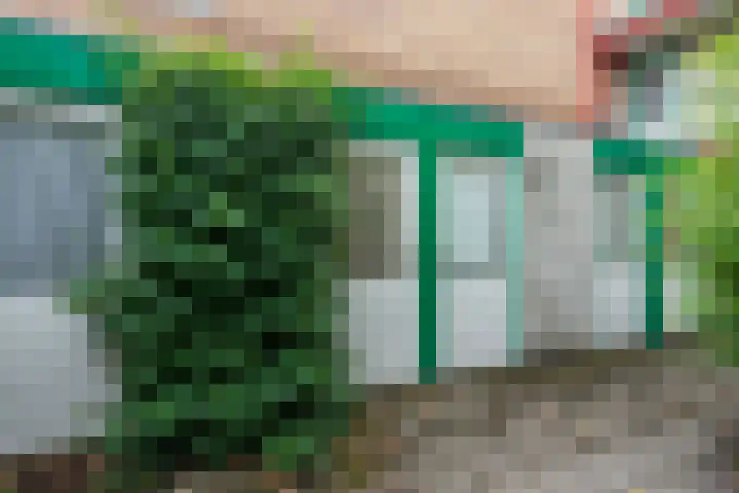 Wilhelminaplantsoen 11 A Bussum thumbnail 12
