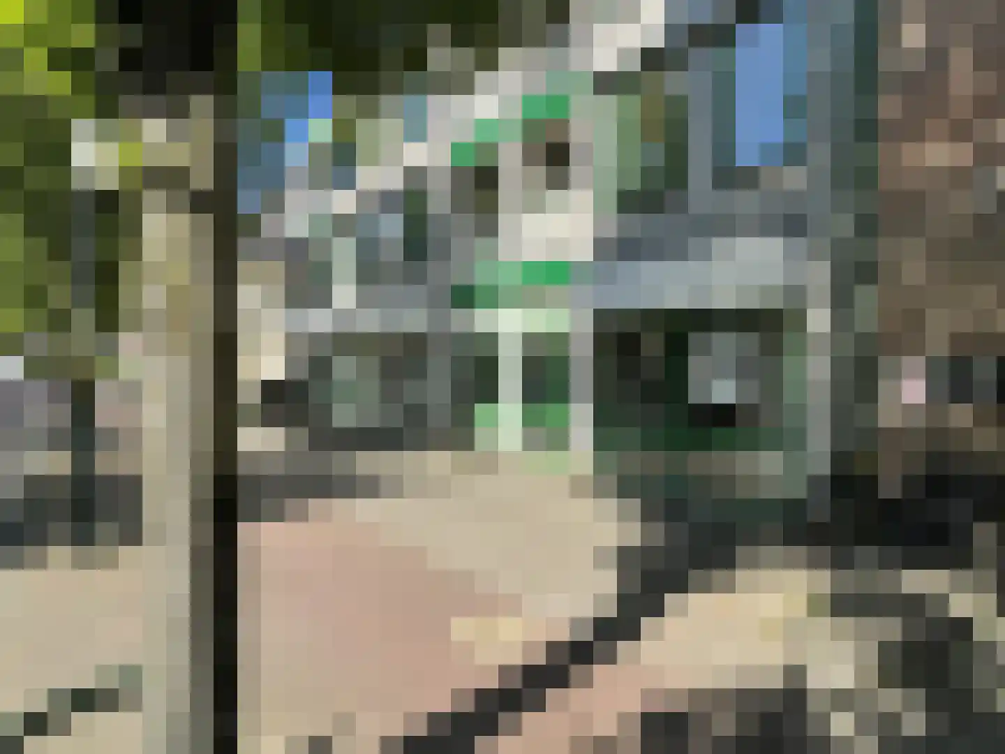 Wilhelminaplantsoen 11 A Bussum thumbnail 14