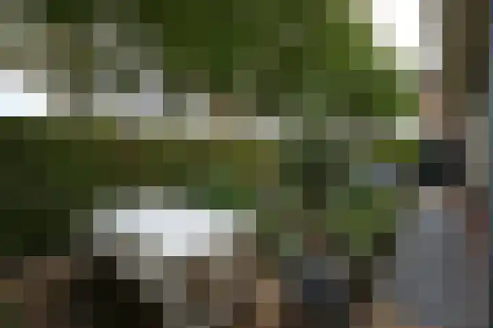 Wilhelminaplantsoen 24 Terneuzen thumbnail 15