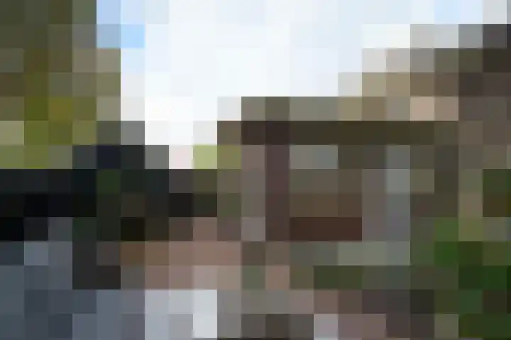 Wilhelminaplantsoen 24 Terneuzen thumbnail 16