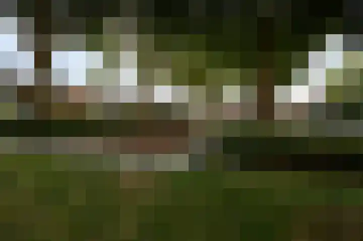 Wilhelminaplantsoen 24 Terneuzen thumbnail 17