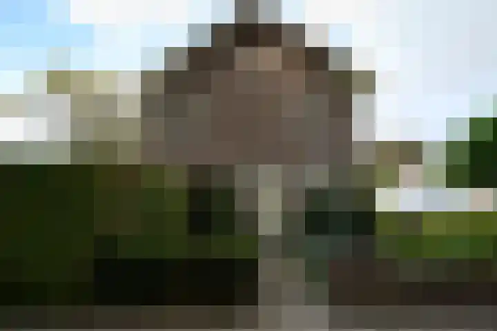 Wilhelminaplantsoen 24 Terneuzen thumbnail 18