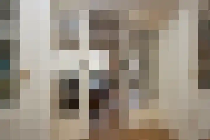 Wilhelminaplantsoen 24 Terneuzen thumbnail 5