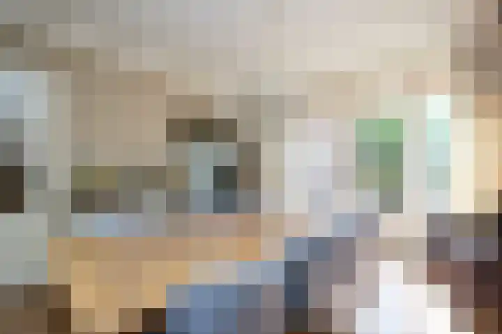 Wilhelminaplantsoen 24 Terneuzen thumbnail 6