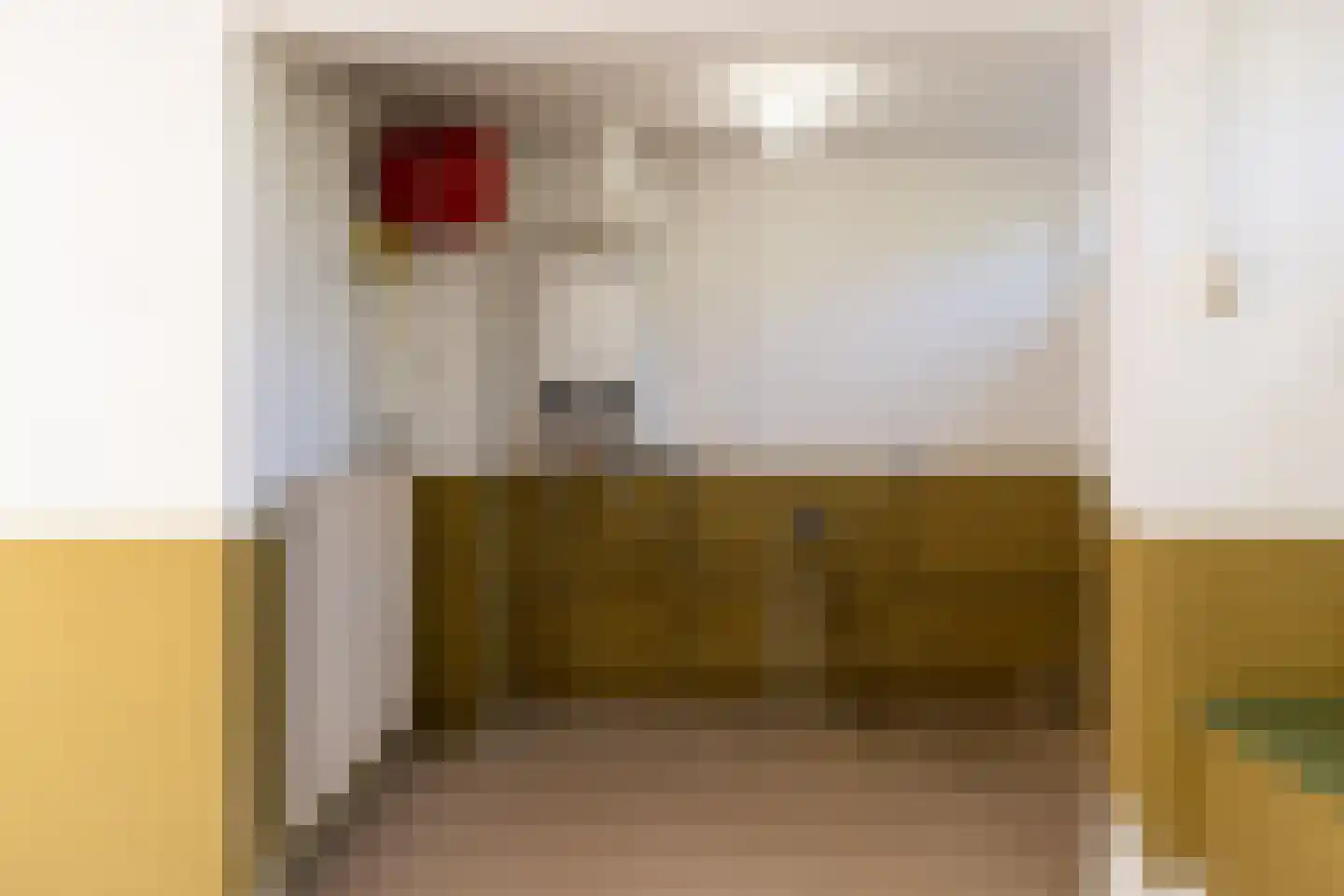 Wilhelminaplantsoen 5 Laag-Keppel thumbnail 34