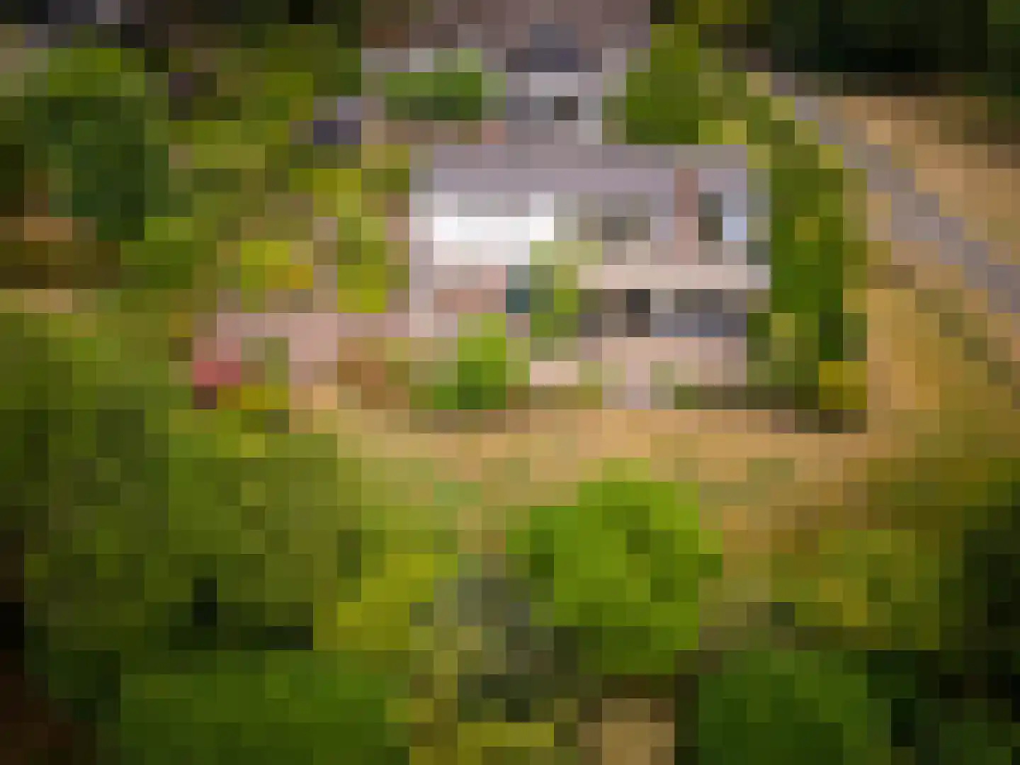 Wilhelminaplantsoen 5 Laag-Keppel thumbnail 37