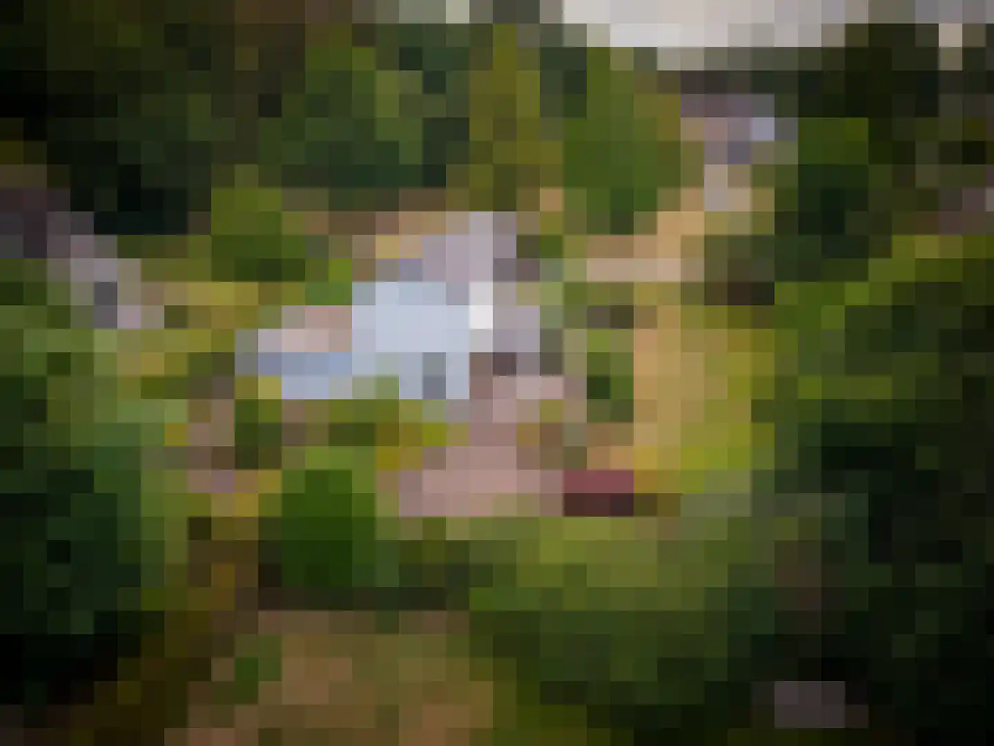 Wilhelminaplantsoen 5 Laag-Keppel thumbnail 38