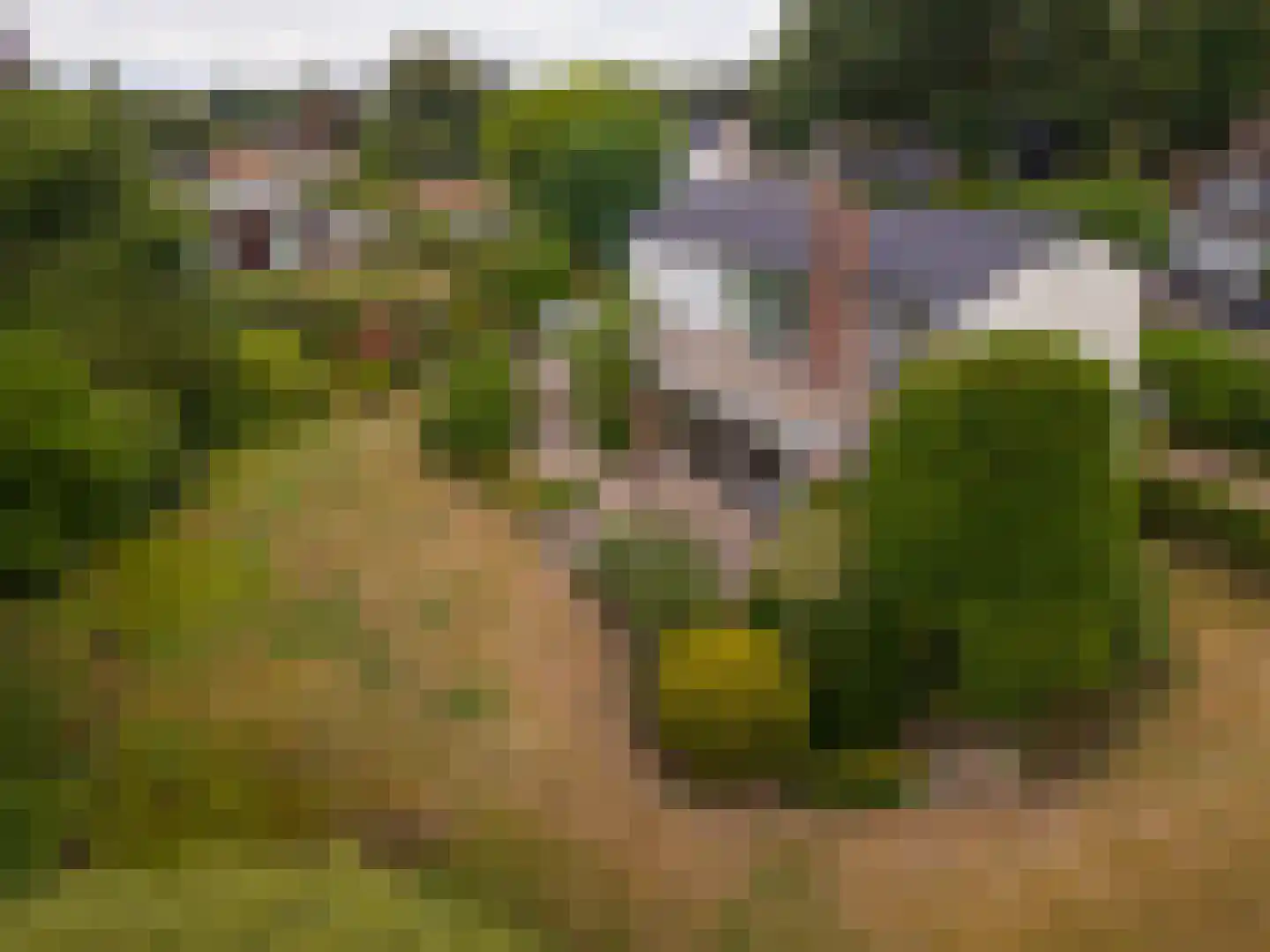 Wilhelminaplantsoen 5 Laag-Keppel thumbnail 39