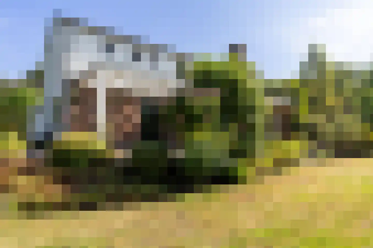 Wilhelminaplantsoen 5 Laag-Keppel thumbnail 43