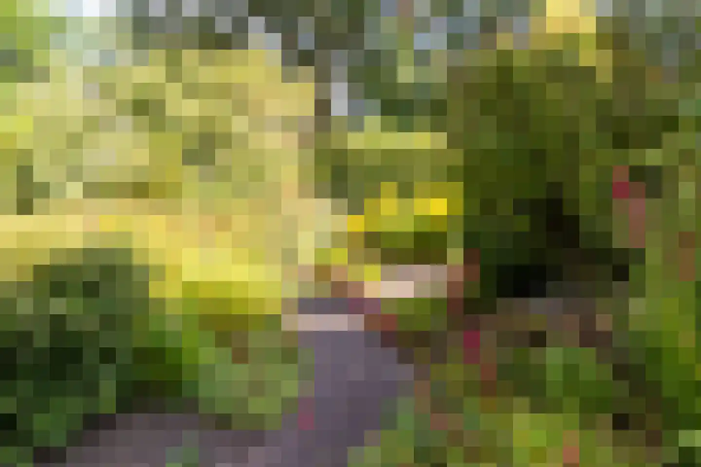 Wilhelminaplantsoen 5 Laag-Keppel thumbnail 46