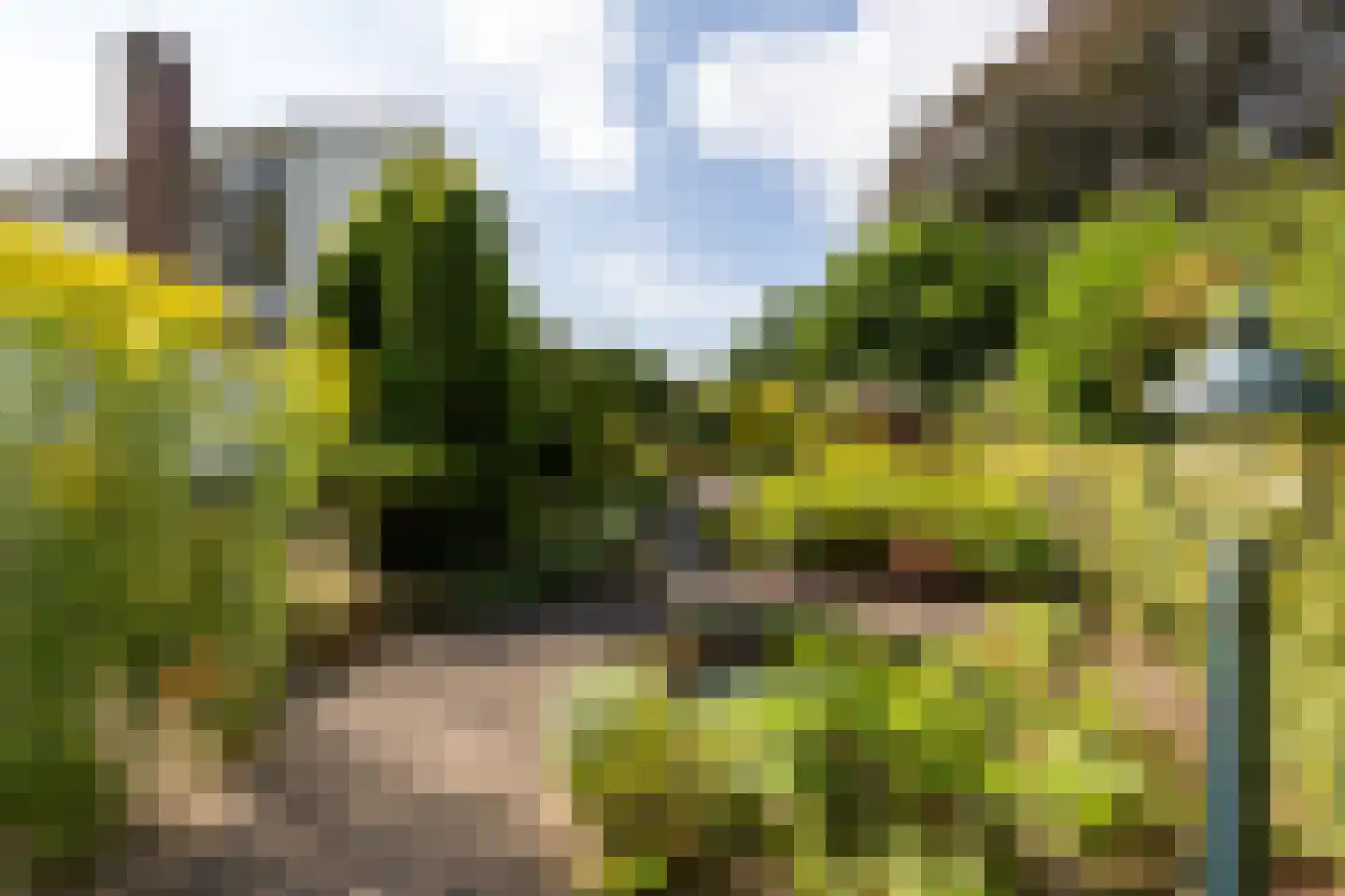 Wilhelminaplantsoen 5 Laag-Keppel thumbnail 47