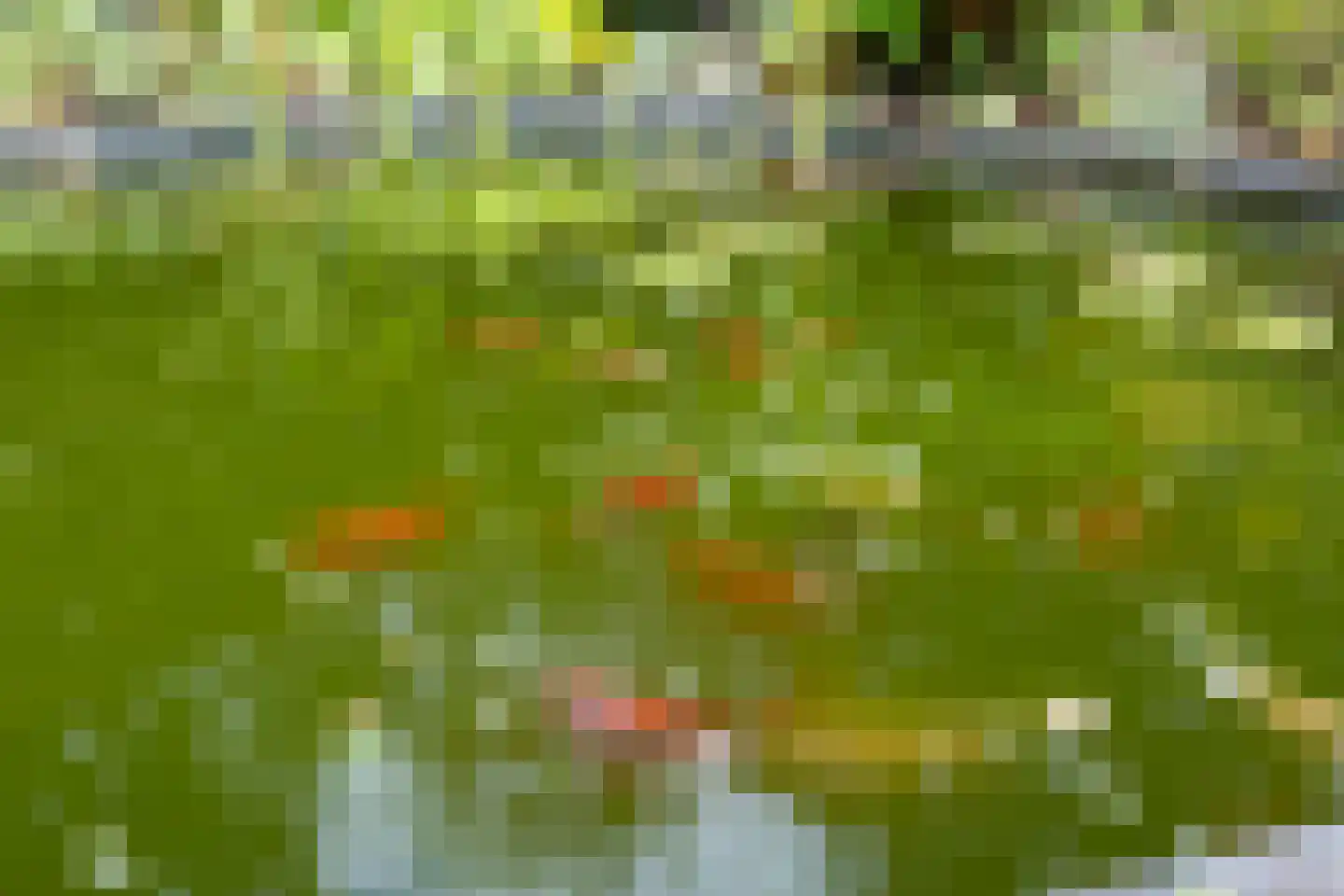 Wilhelminaplantsoen 5 Laag-Keppel thumbnail 48