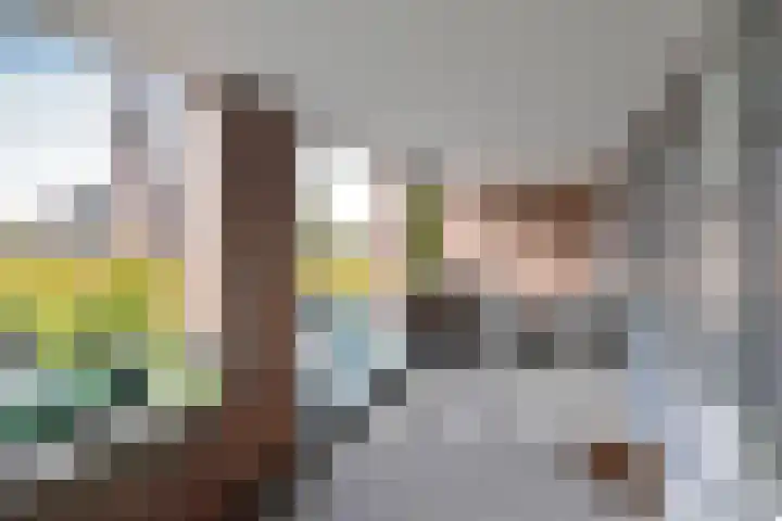 Wilhelminaplantsoen 69 Bussum thumbnail 12