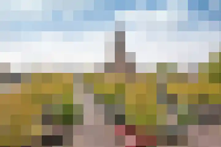 Wilhelminaplantsoen 69 Bussum thumbnail 13