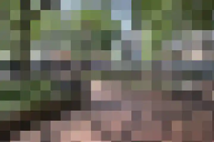 Wilhelminaplantsoen 69 Bussum thumbnail 16