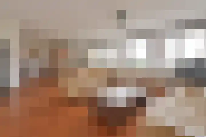 Wilhelminaplantsoen 69 Bussum thumbnail 4