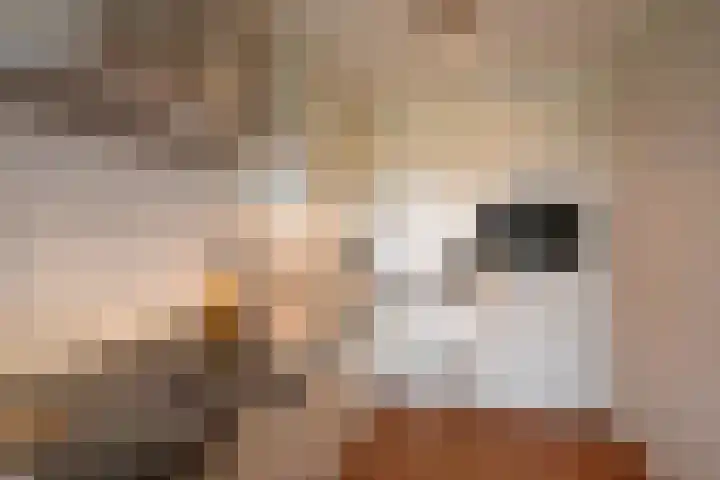 Wilhelminaplantsoen 69 Bussum thumbnail 7