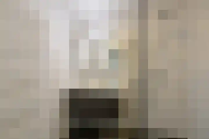 Wilhelminaplantsoen 69 Bussum thumbnail 8