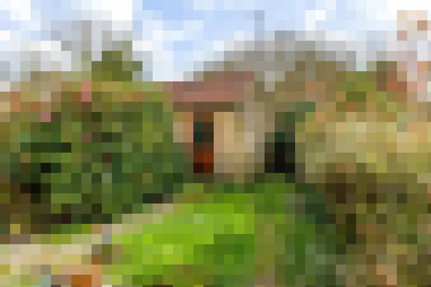 Wilhelminaplantsoen 69 Diemen thumbnail 19